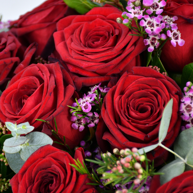 dozzina-rose-rosse-3